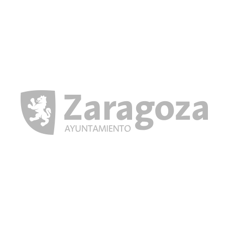 disenador-freelance-zaragoza-ayuntamiento