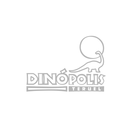 disenador-freelance-zaragoza-dinopolis